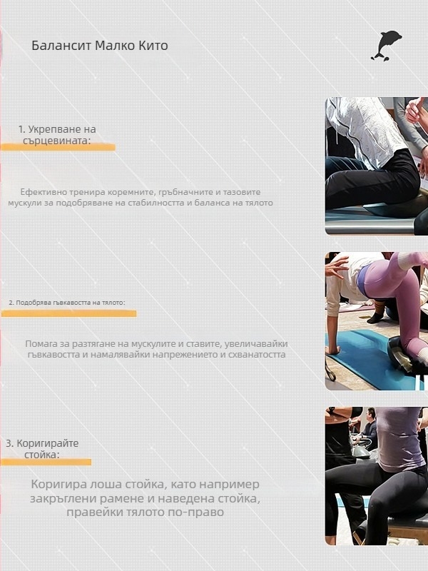 Balansit Little Whale динамичен баланс треньор за седящ пилатес, марка Move