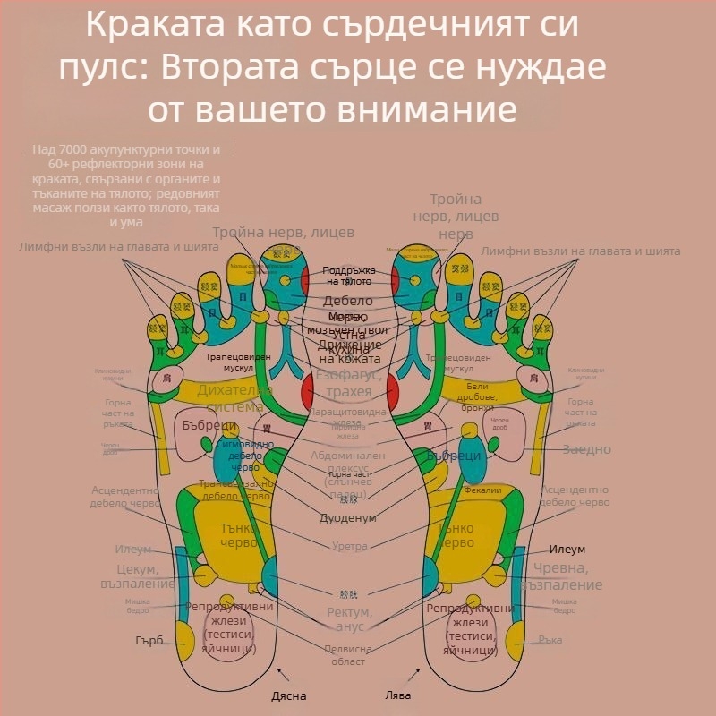 Пантофи за масаж на краката с акупунктурен масаж, USB/AC захранване, кабелно ръчно управление, механичен режим