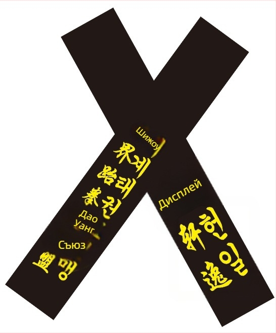 Пояс за таекуондо за възрастни с бродирано име и гравиране – памучна тъкан 85% с ленено-смесена подплата 85% – подходящ за таекуондо