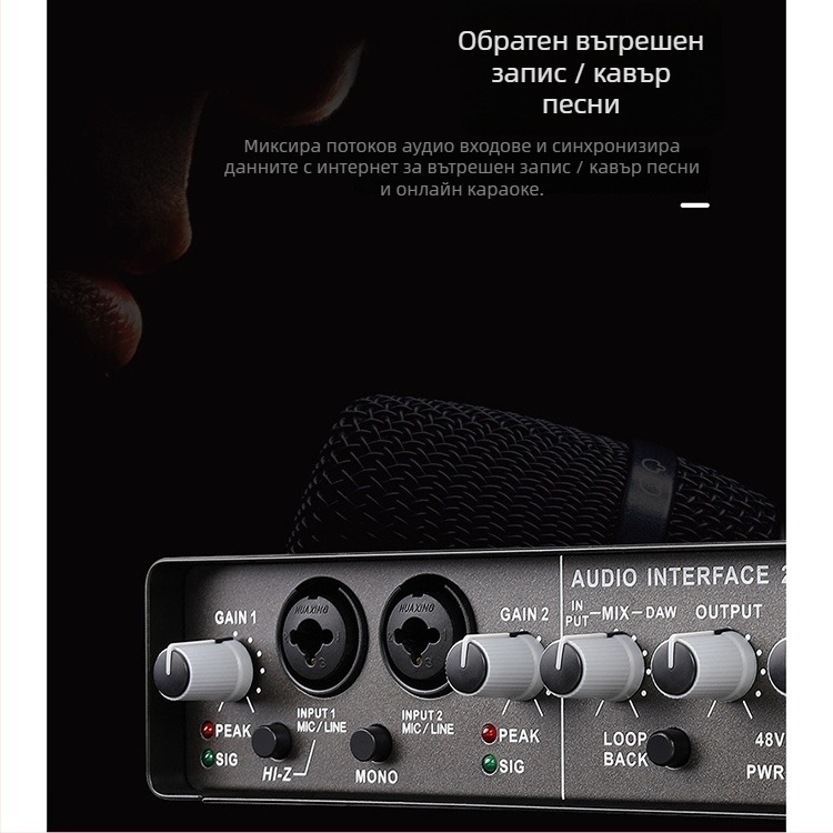 Wadeland 192 kHz външен USB аудио интерфейс, 2 входа/2 изхода, за запис и стрийминг на живо