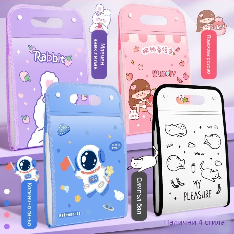 Kaba Bear KBX-7049 Портативен файл-органайзер за документи за ученици, пластмасов, 12 джоба, съхранение на тестове