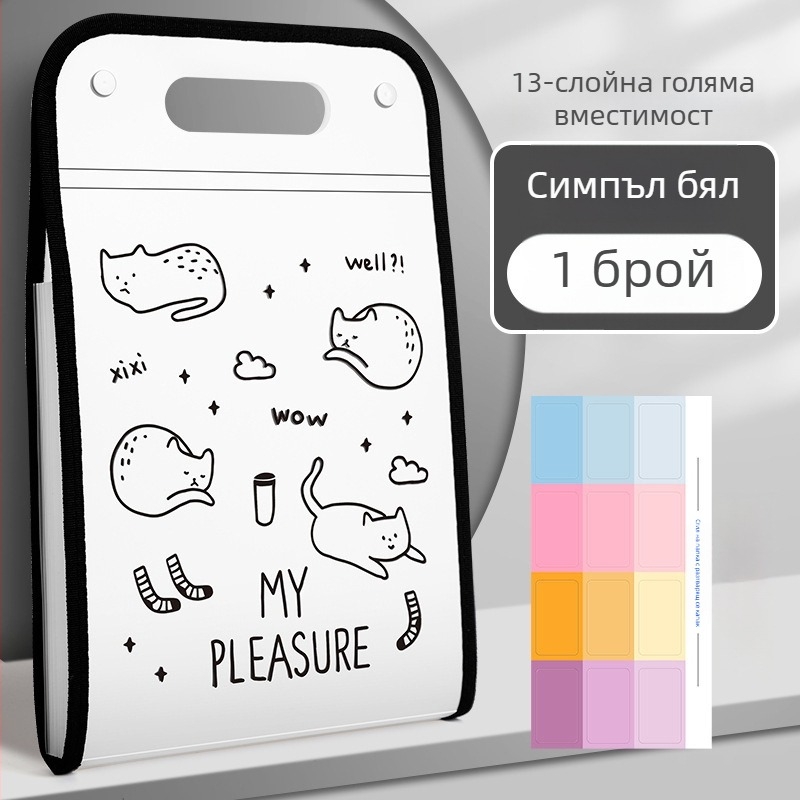 Kaba Bear KBX-7049 Портативен файл-органайзер за документи за ученици, пластмасов, 12 джоба, съхранение на тестове