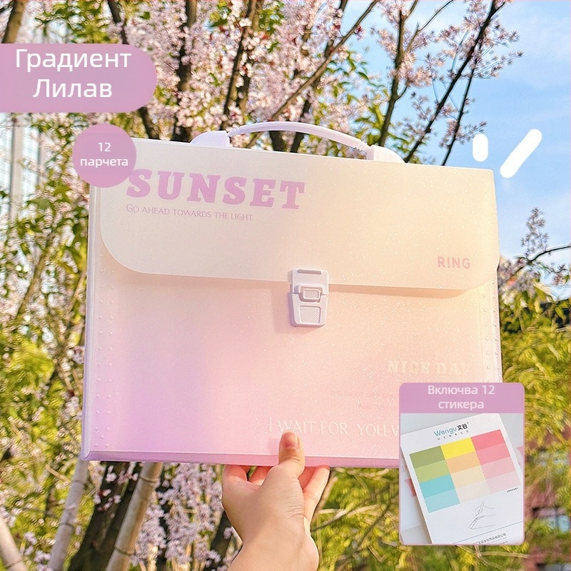 Zi Yi 12 отделения PP папка за документи, вертикален акордеон дизайн, модел ZL30372