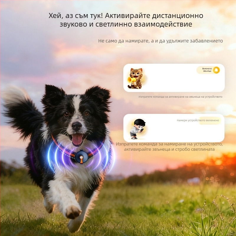 Локатор за домашни любимци: 4G безжичен GPS тракер, ABS корпус, полимерна батерия, GPS точност 5 м, автономност 5–7 дни