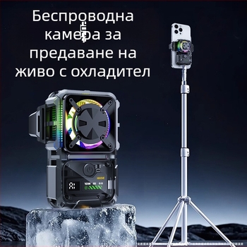 Безжичен охладител за мобилен телефон с термоелектрическо охлаждане, DL23, 15W, Type-C, 124 g, пластмасов корпус
