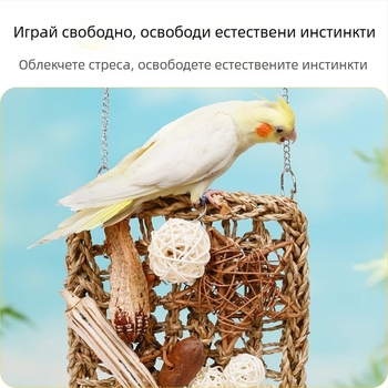 Комплект играчки за папагал: мрежа за катерене за клетка и дъвкална играчка за кокатиел с тигрова шарка и мотив пион, пълен комплект за птици