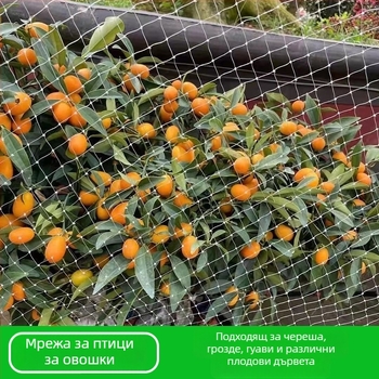 Укрепнена нейлонова птицезащитна мрежа за плодови дървета