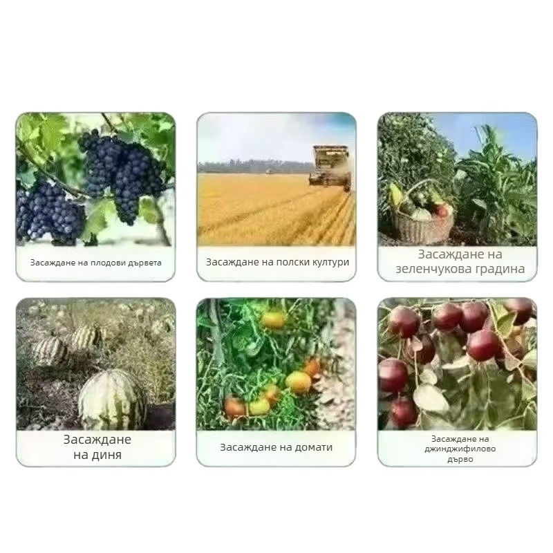 Найлонова мрежа против птици за открити пространства – подходяща за овощни градини, ферми, летища и водоеми