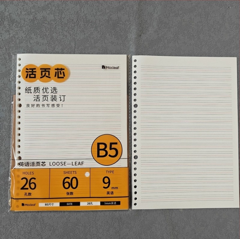 Mary B5 тетрадка с листове за смяна, Dowling хартия, 60 листа, дупки 20/26/6/8/10