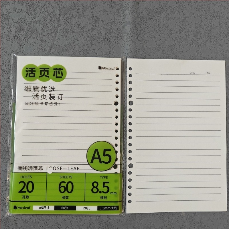 Mary B5 тетрадка с листове за смяна, Dowling хартия, 60 листа, дупки 20/26/6/8/10