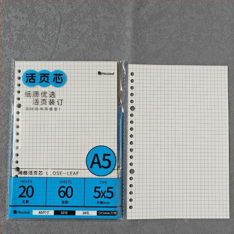 Mary B5 тетрадка с листове за смяна, Dowling хартия, 60 листа, дупки 20/26/6/8/10