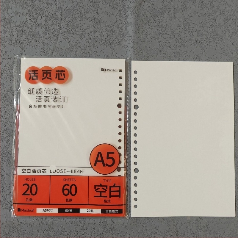 Mary B5 тетрадка с листове за смяна, Dowling хартия, 60 листа, дупки 20/26/6/8/10