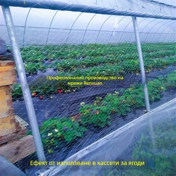 Птицезащитна мрежа за оранжерия със вентилация – за ягоди, диня и лози