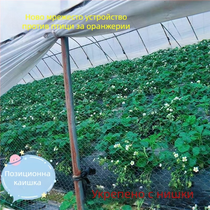 Птицезащитна мрежа за оранжерия със вентилация – за ягоди, диня и лози