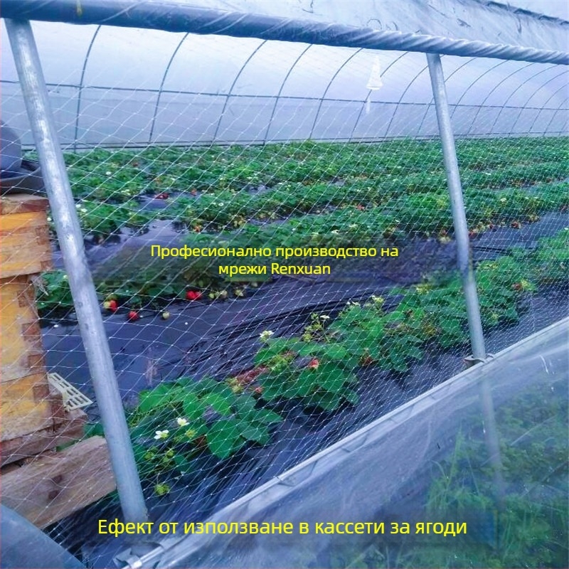 Птицезащитна мрежа за оранжерия със вентилация – за ягоди, диня и лози