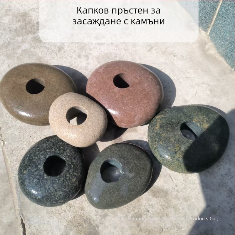 Пръстен за задържане на водни растения в аквариум – каменен декоративен елемент, няколко модела