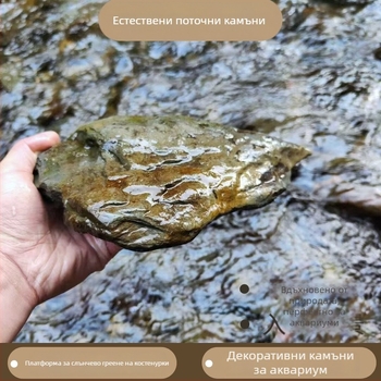 Paixing камъни за аквариумен пейзаж – комплект камъни 25 кг за декор на аквариум и площадка за костенурки