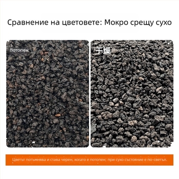 Аквариумна ландшафтна каменна подложка с вулканична скална основа, дишаща и подходяща за аквариуми и сукуленти (Марка: Cuttlefish; Опаковка: 50 бр; Тегло: 1)