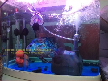 Songbao WP3550 подводна помпа за аквариум — 45W, филтрация, циркулация и оксигенация