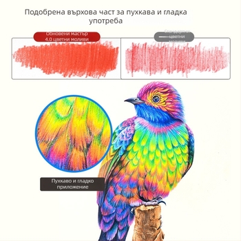 Марко Комплект цветни моливи — водоразтворими и маслени, дървен корпус, твърдост B, за писане и рисуване