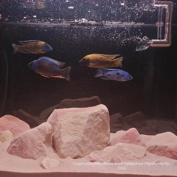 Аквариумни камъни за ландшафтинг на цихлиди, естествен поток, опаковка 1 кутия, тегло 1, марка Other