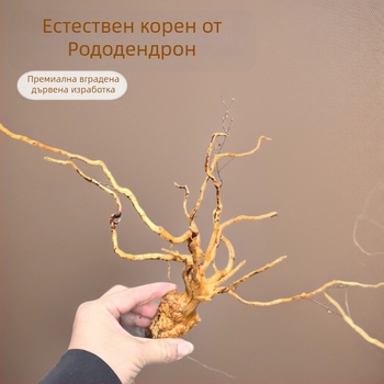 Аквариумен ландшафтен декор: мъх, дървообразно потънало дърво, корени от рододендрон, 1 бр. в кутия