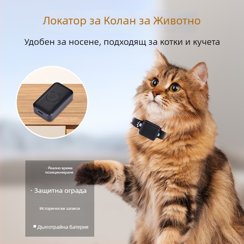 GPS тракер за домашни любимци | IP67 водоустойчив, реално време позициониране | GPS точност 10 м, 32GB памет, SOS и аларми за геозона
