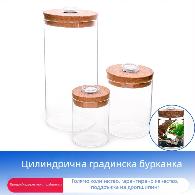 LeVana стъклена еко бутилка за DIY мини ландшафт с мъх – боросиликатно стъкло, картонена опаковка, подходяща за дисплей на бюро, готова за подарък