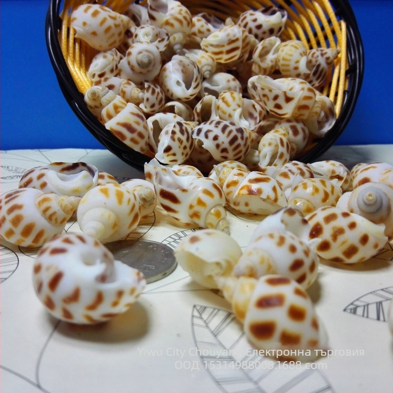 Аквариумен декор от черупки - Underwater Baby, естествени черупки, естествена форма, нов китайски стил