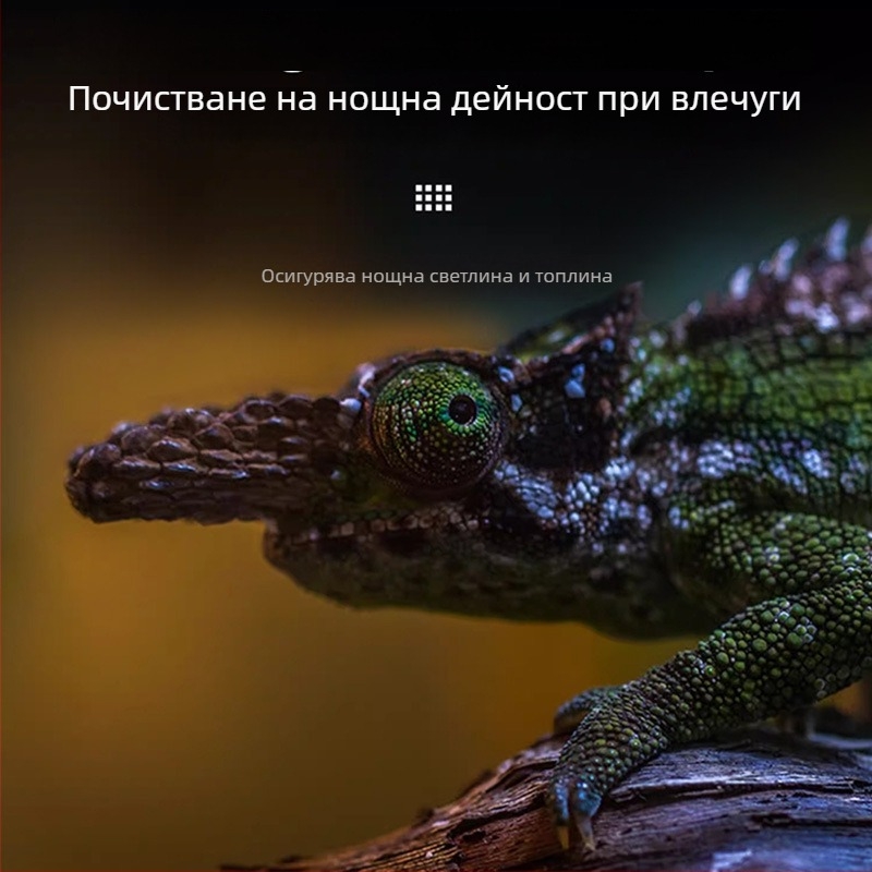 Лампа за отопление на влечуги с топла светлина и нощна светлина – подходяща за костенурки, таралежи, хамстери, хамелеони и гекони