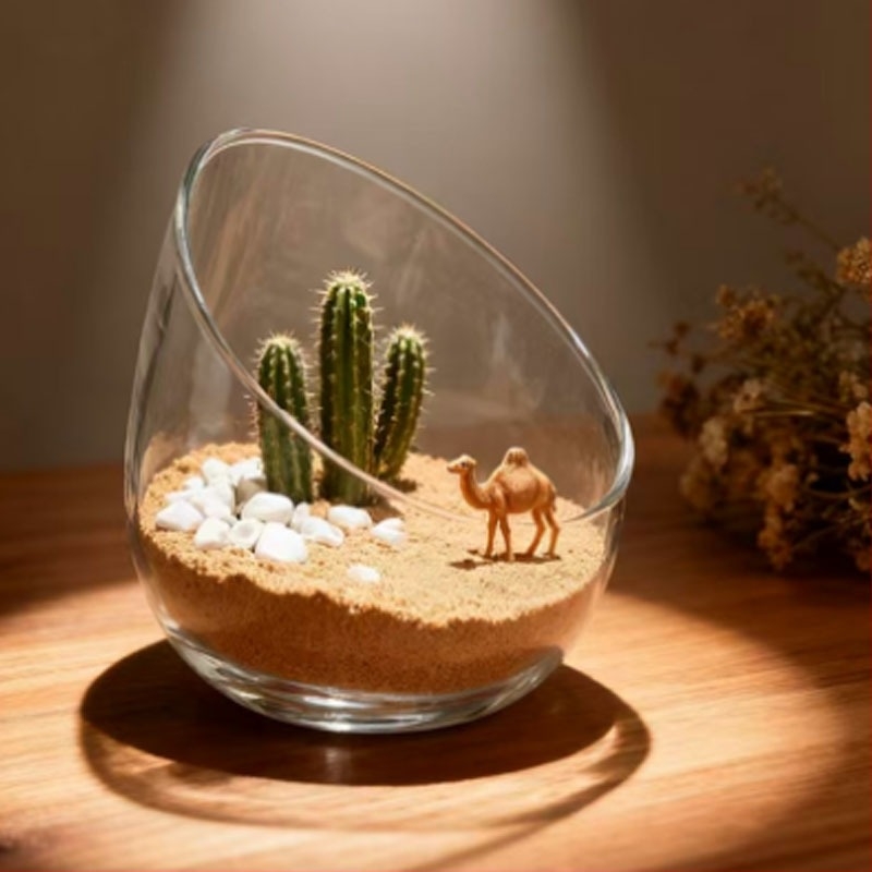 Микроландшафтна бутилка с мъх – DIY екологично стъкло за офис декор, високо боросиликатно стъкло, поставка