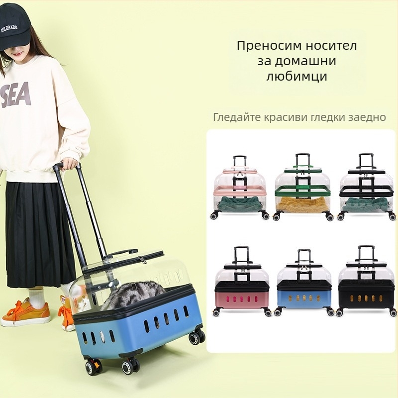 Чанта за домашни любимци с твърд корпус от PP за котки и кучета, капацитет 15, произход Хебей