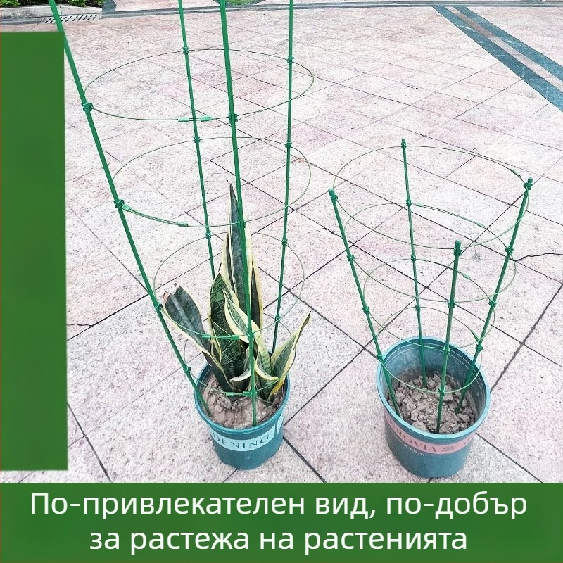 Вътрешен катерещ държач за растения с пластмасова опора за рози и клематис