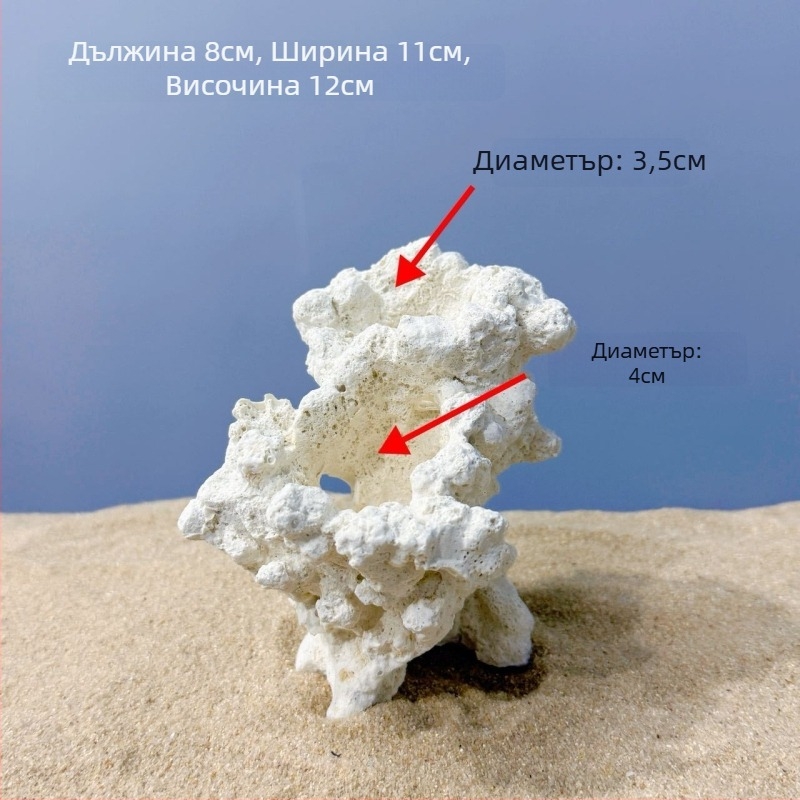 Аквариумно ландшафтно украшение – изработено от изсушени цветя, камък за озеленяване, сух ландшафт, за украса, марка Call the sea