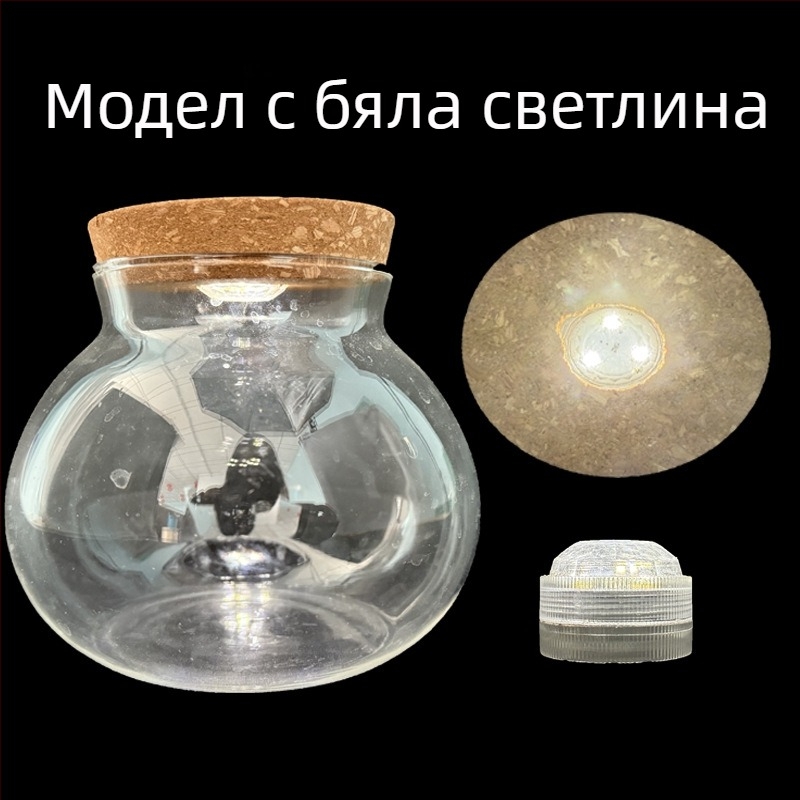 Хидропонна ваза за растения от високо боросиликатно стъкло, духана, персонализируема