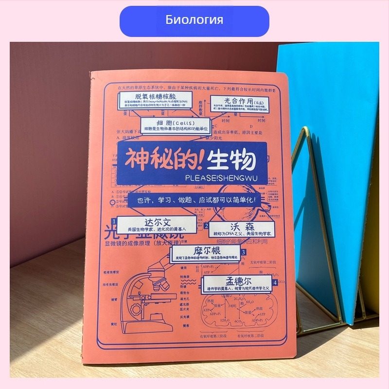 Тетрад Rainbow Age, 50–100 страници, подвързана с конец, хартия с тегло 1.35 Nevin, обложка от хартия