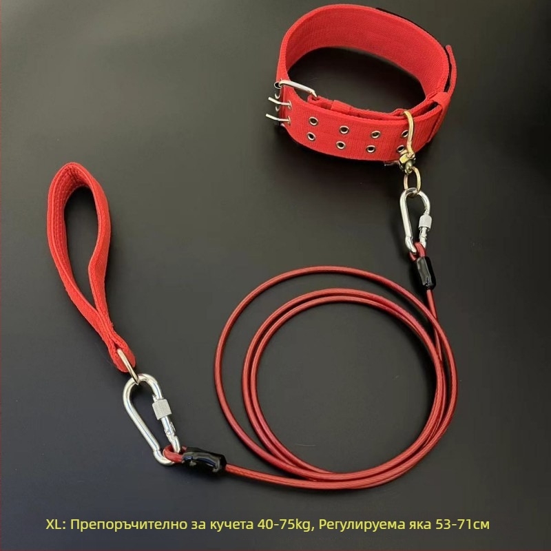 Кучешка каишка с железна верига, антиухапване, неретракторна, аксесоар