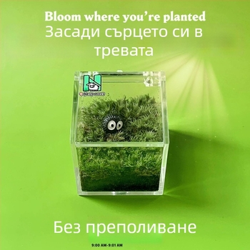 Мъхов микро ландшафт за вътрешно бюро – ръчно изработен, възможност за персонализиране на лого, офис подарък