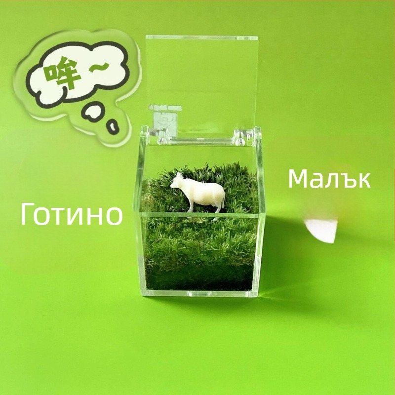 Мъхов микро ландшафт за вътрешно бюро – ръчно изработен, възможност за персонализиране на лого, офис подарък