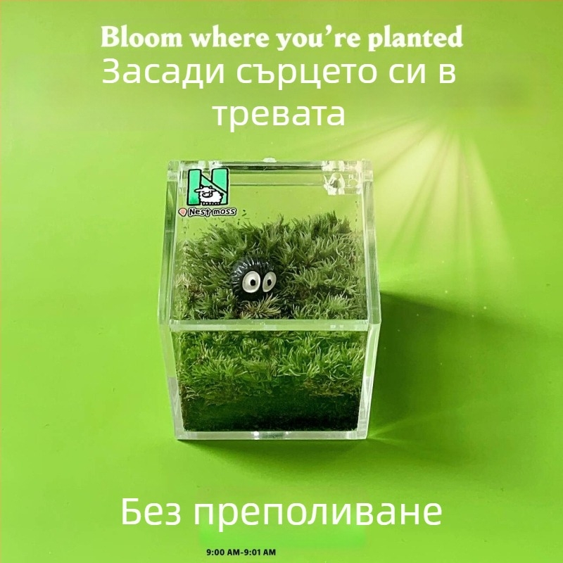 Мъхов микро ландшафт за вътрешно бюро – ръчно изработен, възможност за персонализиране на лого, офис подарък