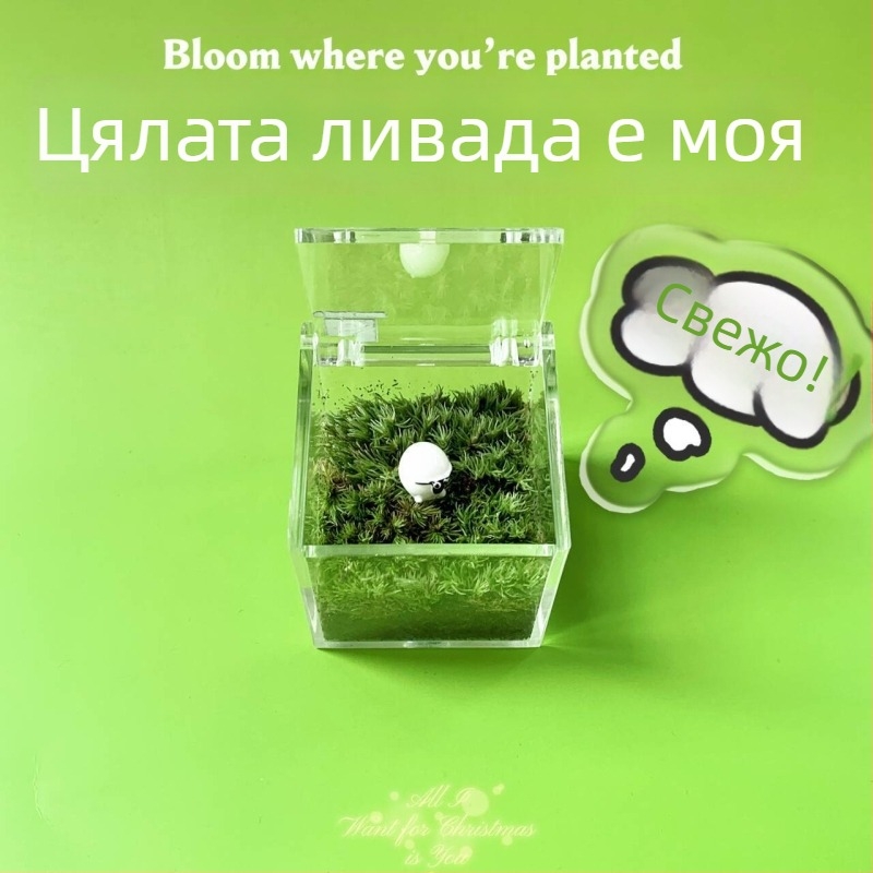 Мъхов микро ландшафт за вътрешно бюро – ръчно изработен, възможност за персонализиране на лого, офис подарък