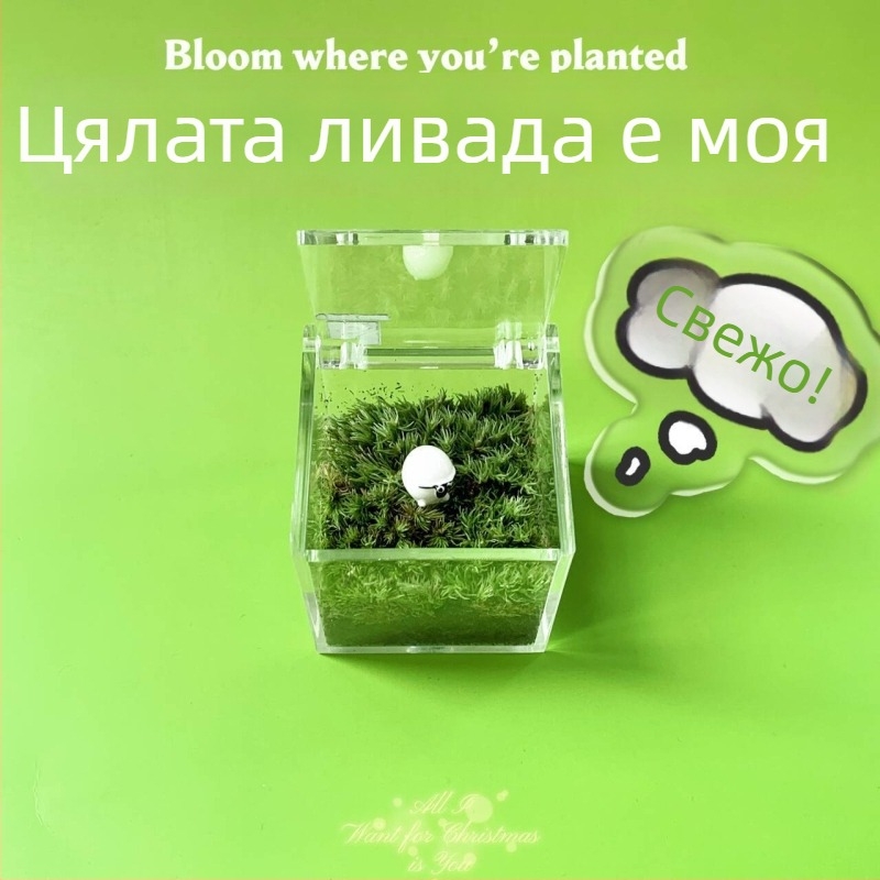 Мъхов микро ландшафт за вътрешно бюро – ръчно изработен, възможност за персонализиране на лого, офис подарък