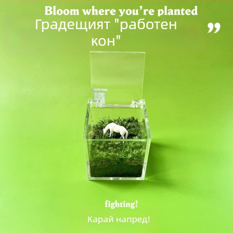 Мъхов микро ландшафт за вътрешно бюро – ръчно изработен, възможност за персонализиране на лого, офис подарък