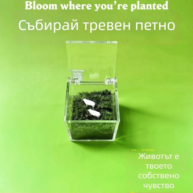 Мъхов микро ландшафт за вътрешно бюро – ръчно изработен, възможност за персонализиране на лого, офис подарък