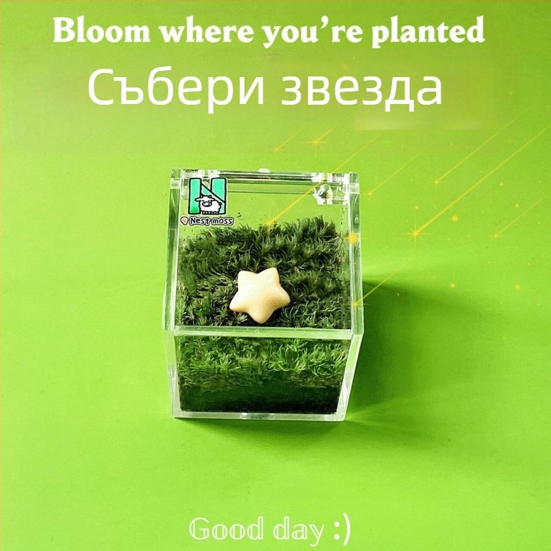 Мъхов микро ландшафт за вътрешно бюро – ръчно изработен, възможност за персонализиране на лого, офис подарък