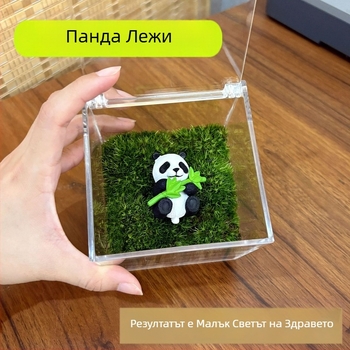 Бюро мини мъх ландшафт в бутилка – ръчно изработено, пластмасов корпус, персонализиране и печат на лого, подходящ като бизнес подарък