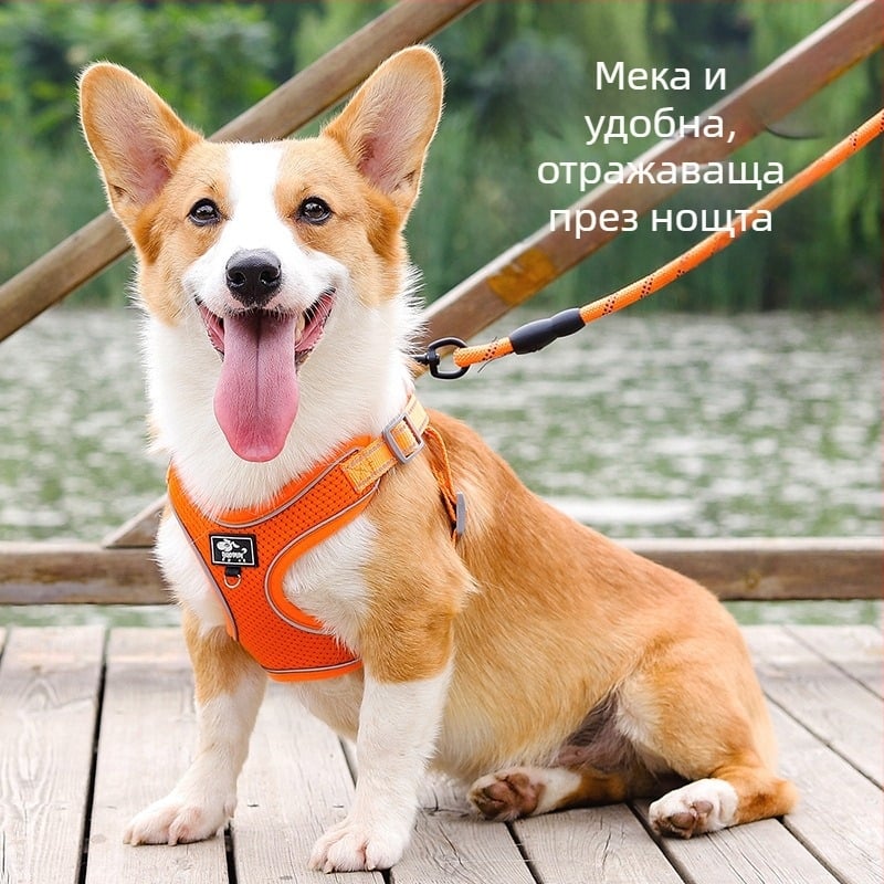 Гръдна презрамка за кучета, регулируема, въжен дизайн, полиестер (Материал: полиестер; Категория: гръдна презрамка; Разширяема: Да)