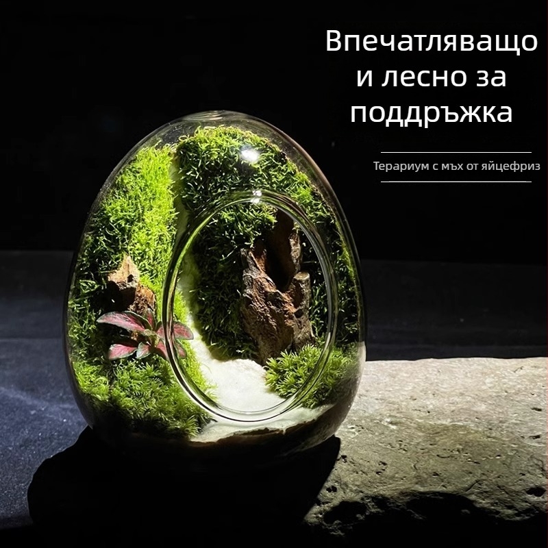 Стъклен террариум с мъхов микро пейзаж в яйчена черупка — вътрешна декоративна бутилка с реален мъх (Материал: стъкло; Стил: Друг; Внос: Не; IP: Не)