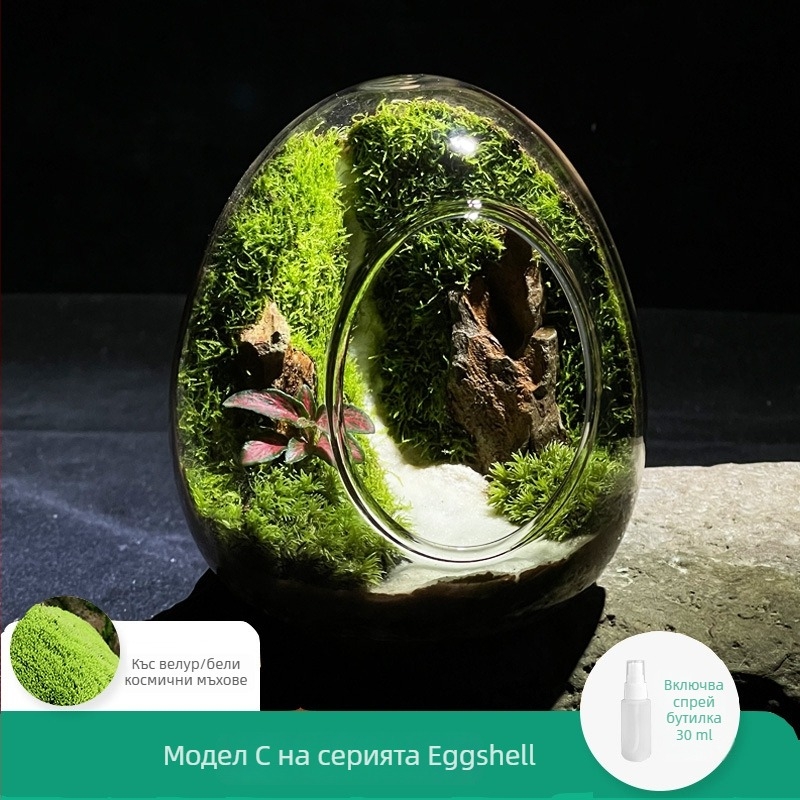 Стъклен террариум с мъхов микро пейзаж в яйчена черупка — вътрешна декоративна бутилка с реален мъх (Материал: стъкло; Стил: Друг; Внос: Не; IP: Не)