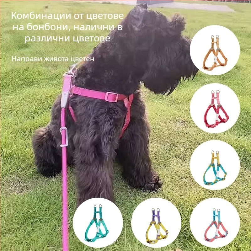 Комплект каишка и нагрудник за кучета | Полиестер, Произход: Zhejiang, Категория: въже за кучета, Марка: UNMIXED, Опаковка: 50 бр